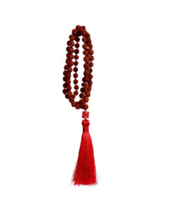Japa Mala en Semilla de Rudraksha - Imagen 8