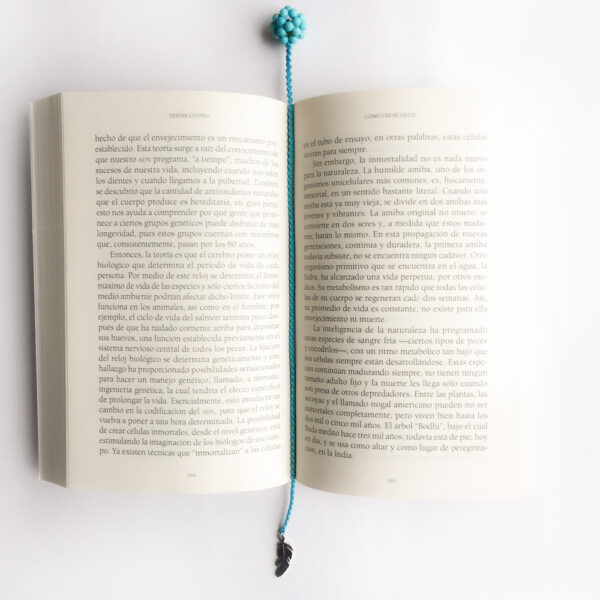 Separador de Libro - Imagen 2