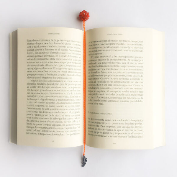 Separador de Libro - Imagen 3