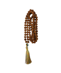 Japa Mala en Semilla de Rudraksha - Imagen 10